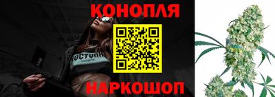 a pvp Кингисепп