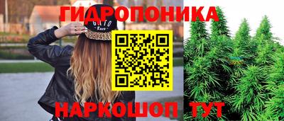 дмт Кимры