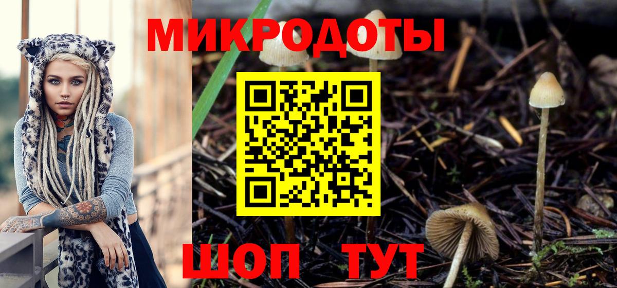 Псилоцибиновые грибы Psilocybe  Вход с VPN  Псилоцибиновые грибы мицелий  Коммунар 
