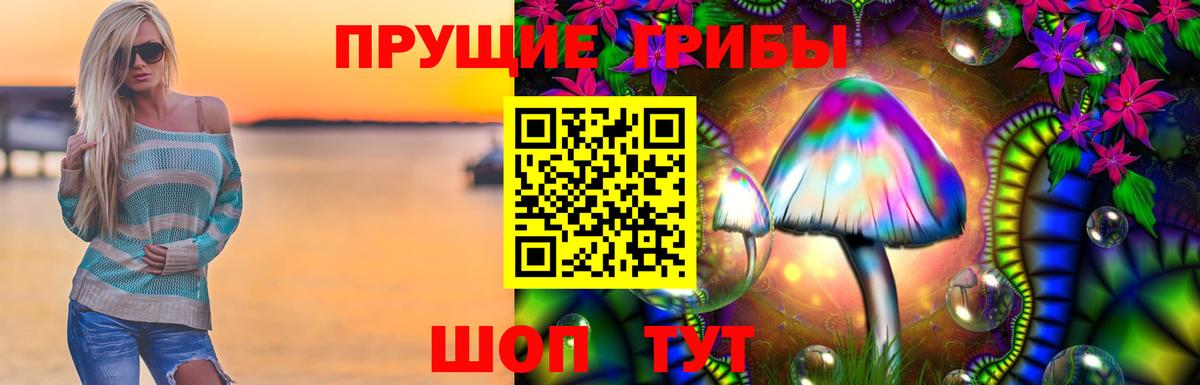 Псилоцибиновые грибы Psilocybe Коммунар